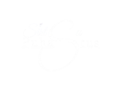 sirtsupuhastus removebg preview (1)